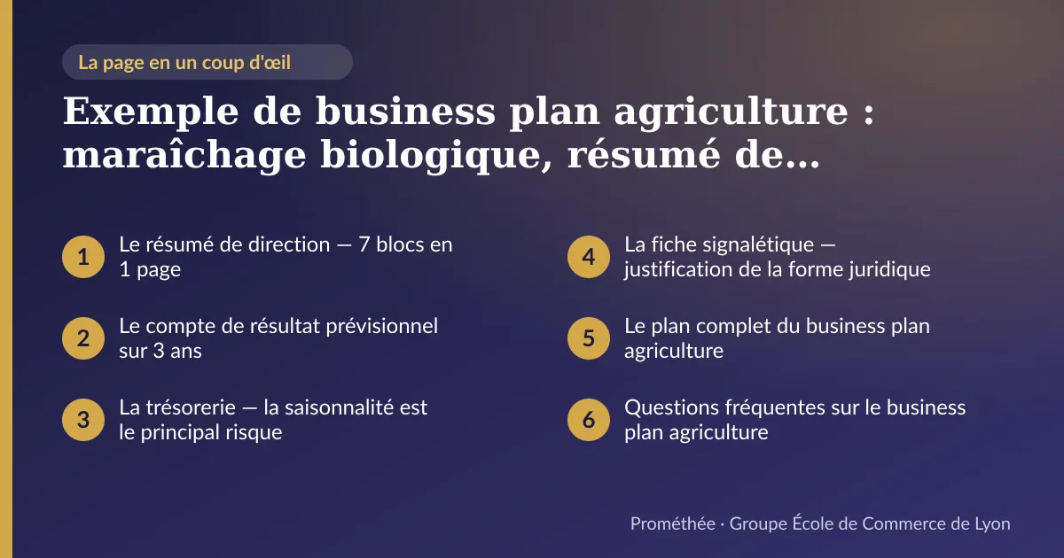 Infographie : plan de la page « Exemple de business plan agriculture : maraîchage biologique, résumé de direction, compte de résultat 3 ans et trésorerie — document modèle ECL » — Le résumé de direction — 7 blocs en 1 page ; Le compte de résultat prévisionnel sur 3 ans ; La trésorerie — la saisonnalité est le principal risque ; La fiche signalétique — justification de la forme juridique ; Le plan complet du business plan agriculture ; Questions fréquentes sur le business plan agriculture